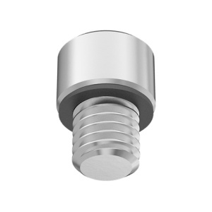 A2 with O-Ring Sealing Socket Head Screw 1/2