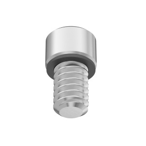 A2 with O-Ring Sealing Socket Head Screw 1/4