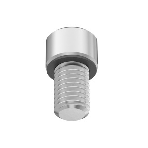 A2 with O-Ring Sealing Socket Head Screw 1/4