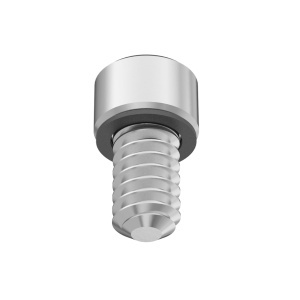A2 with O-Ring Sealing Socket Head Screw 1-64 Thread size, 1/8