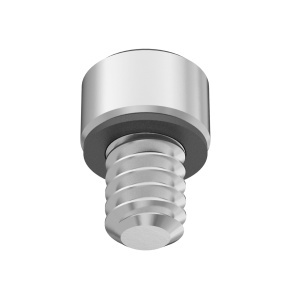 A2 with O-Ring Sealing Socket Head Screw 10-24 Thread size, 1/4