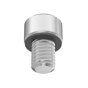 A2 with O-Ring Sealing Socket Head Screw 10-32 Thread size, 1/4