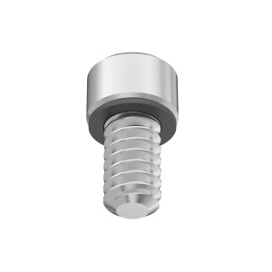 A2 with O-Ring Sealing Socket Head Screw 6-32 Thread size, 1/4