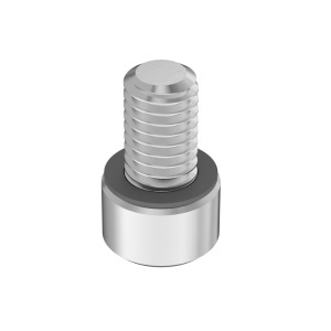 A2 with Silicone O-Ring Sealing Socket Head Screw 10-32 Thread size, 5/16