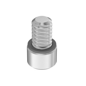 A2 with O-Ring Sealing Socket Head Screw 1/4