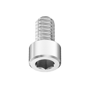 A2 Socket Head Screw 1-64 Thread Size, 1/8