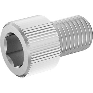 A2 Socket Head Screw 3/4