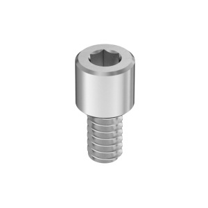 A2 High-Profile Socket Head Screws  6-32 Thread Size, 1/4