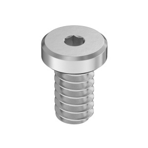 A2 Low-Profile Socket Head Screw 6-32 Thread Size, 1/4
