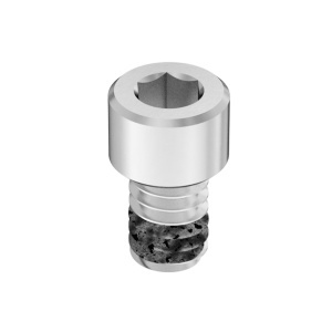A2 Thread size-Locking Socket Head Screw with Epoxy Adhesive, 1/4