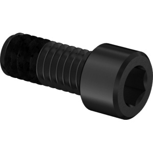 A2 Thread size-Locking Socket Head Screw with Epoxy Adhesive, 5/16