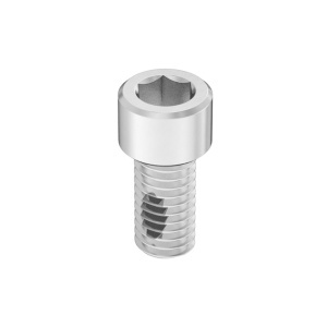 A2 Thread size-Locking Socket Head Screw 3/8