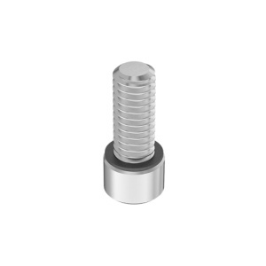 A4 with O-Ring Sealing Socket Head Screw 5/16