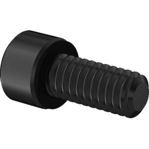 A4 with O-Ring Sealing Socket Head Screw 8-32 Thread size, 3/8