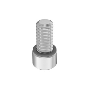 A4 with O-Ring Sealing Socket Head Screw 1/4