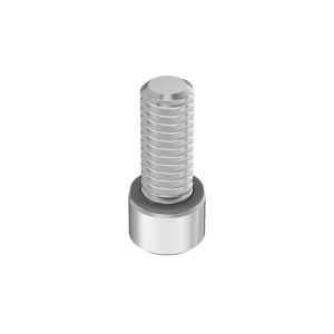 A4 with O-Ring Sealing Socket Head Screw 5/16