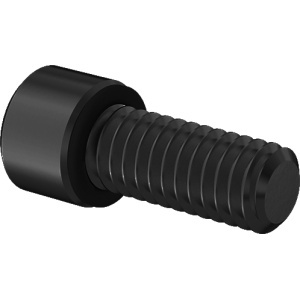 A4 with O-Ring Sealing Socket Head Screw 5/16