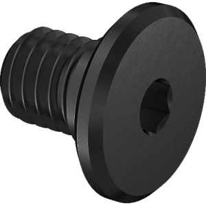 A4 Ultra-Low-Profile Socket Head Screw 5/16