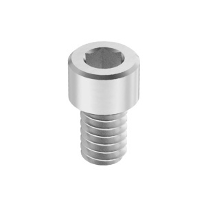 Aluminum Socket Head Screw 1/4