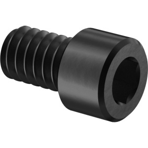 Aluminum Socket Head Screw 1/4