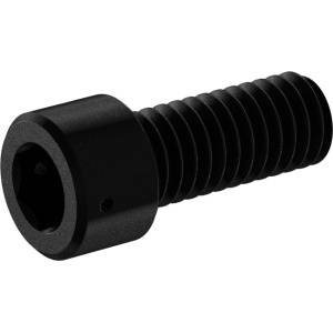 High Strenght Wire-Lockable Socket Head Screw 5/16