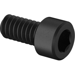Brass Socket Head Screw 0-80 Thread Size, 1/8
