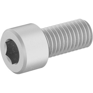 Brass Socket Head Screw 1/2
