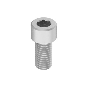 Brass Socket Head Screw 1/2