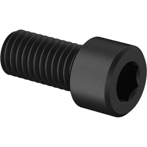Brass Socket Head Screw 1/2