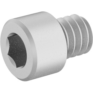 Titanium Socket Head Screw 1/4