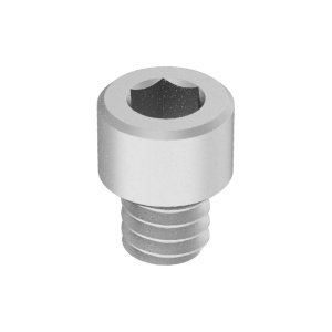 Titanium Socket Head Screw 1/4