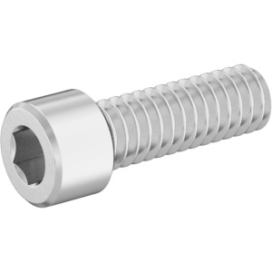 Bronze Socket Head Screw 1/4