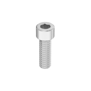 Bronze Socket Head Screw 1/4