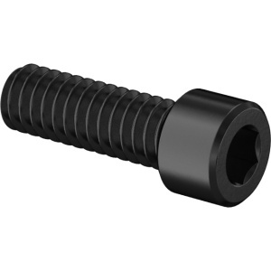 Bronze Socket Head Screw 1/4