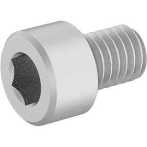 Brass Socket Head Screw 10-32 Thread Size, 1/4