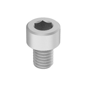 Brass Socket Head Screw 10-32 Thread Size, 1/4