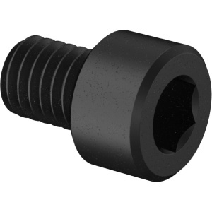 Brass Socket Head Screw 10-32 Thread Size, 1/4
