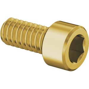 Brass Socket Head Screw 2-56 Thread Size, 3/16