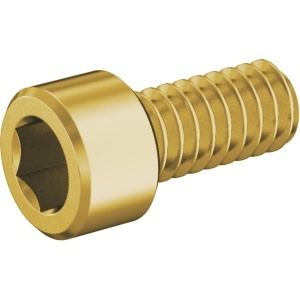 Brass Socket Head Screw 2-56 Thread Size, 3/16