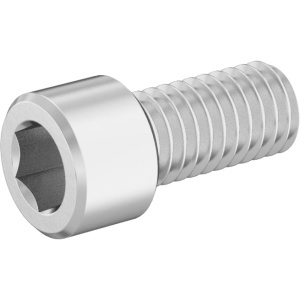 Brass Socket Head Screw 3/8