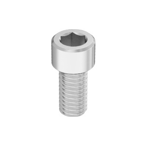 Brass Socket Head Screw 3/8