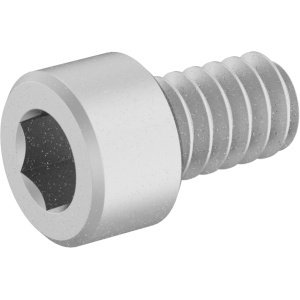 Brass Socket Head Screw 4-40 Thread Size, 3/16