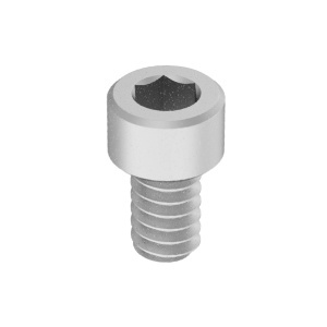 Brass Socket Head Screw 4-40 Thread Size, 3/16