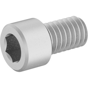 Brass Socket Head Screw 5/16