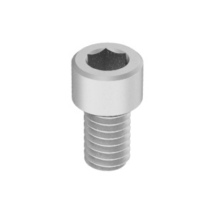 Brass Socket Head Screw 5/16