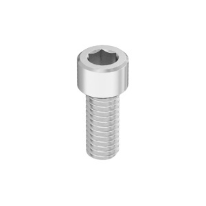 Bronze Socket Head Screw 5/16
