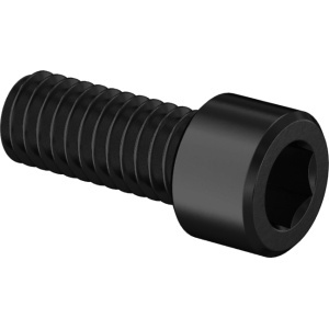 Bronze Socket Head Screw 5/16