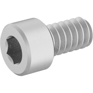 Brass Socket Head Screw 6-32 Thread Size, 1/4