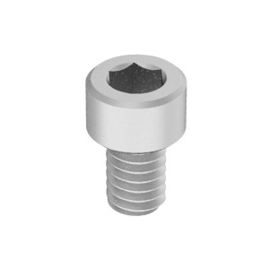 Brass Socket Head Screw 8-32 Thread Size, 1/4