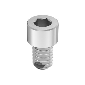 Rubber O-Ring with A4 Vibration-Resistant Sealing Socket Head Screw 1/4